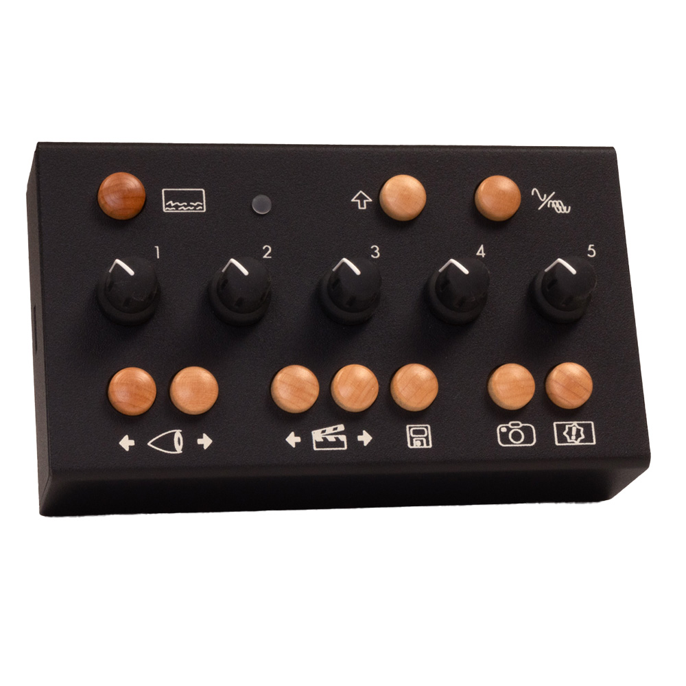 Critter & Guitari Eyesy Desktop Video Synthesizer (Black)